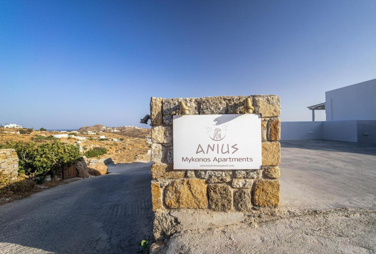 Anius Apartments Mykonos Town Kültér fotó